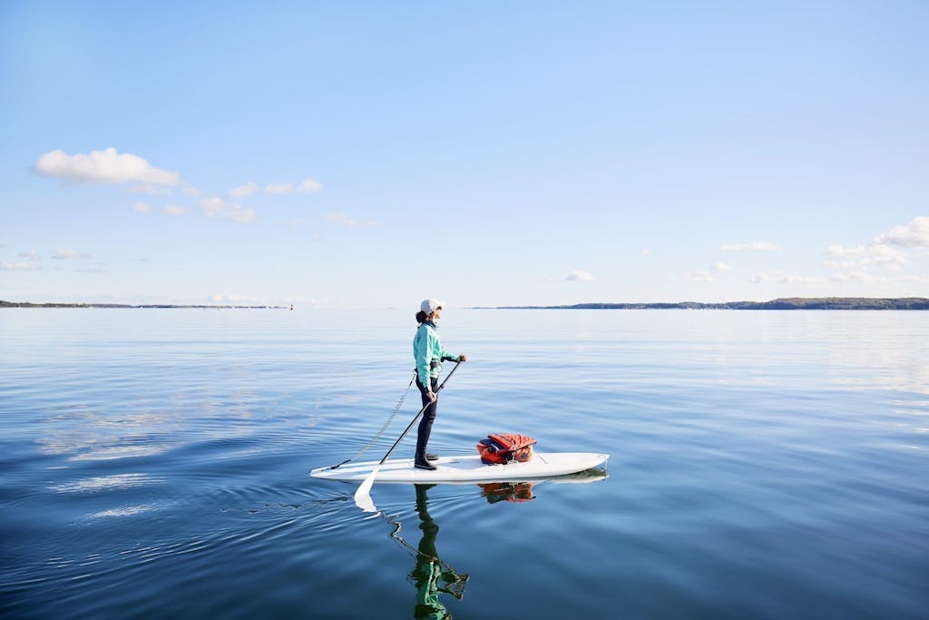 Stjernetegn og astrologi
